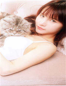 1V3三兄弟,野草一二三四地区乱码