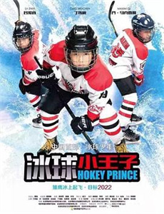 歌手无损全景声